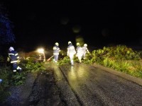 Feuerwehr beseitigt umgestürzten Baum
